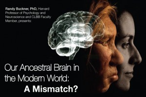 Our Ancestral Brain in the Modern World: A Mismatch?