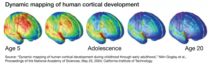 Cognitive development during outlet early adulthood